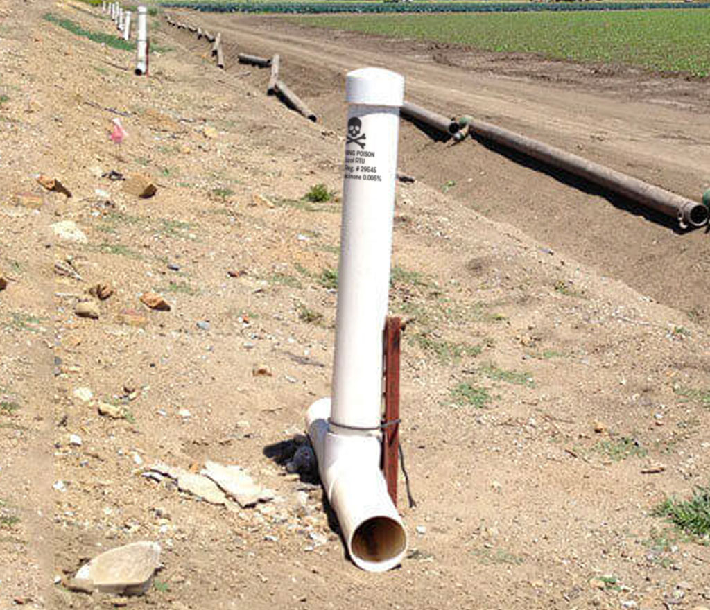 Ground Squirrel Bait Station