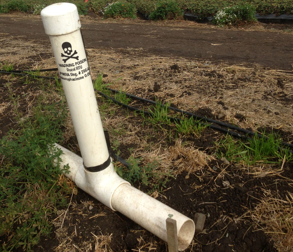 Ground Squirrel Bait Station